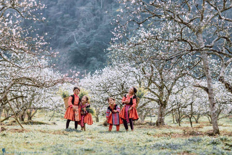 camnhi-231116091109-du-lich-tay-bac-mua-xuan-1