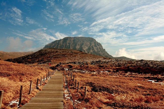 con-duong-go-leo-nui-hallasan