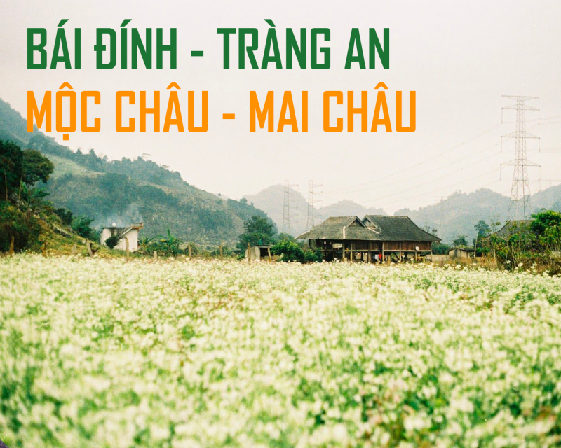 TOUR MIỀN BẮC BÁI ĐÍNH - TRÀNG AN - MỘC CHÂU - MAI CHÂU - 3N3Đ
