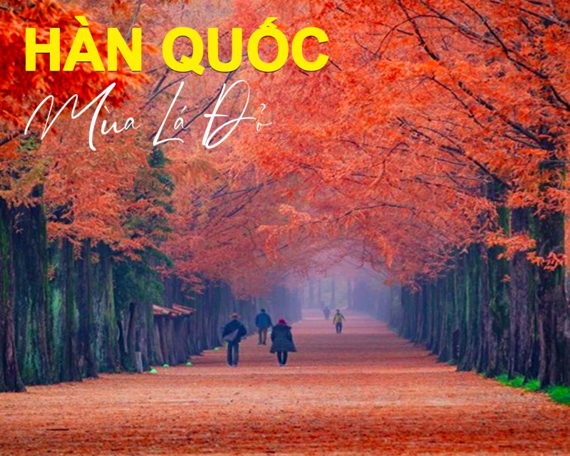 HÀN QUỐC MÙA LÁ ĐỎ - 4N4Đ