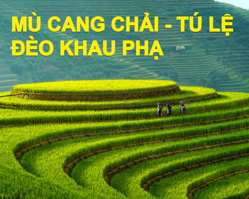 MÙ CANG CHẢI - ĐÈO KHAU PHẠ - TÚ LỆ - 2N2Đ