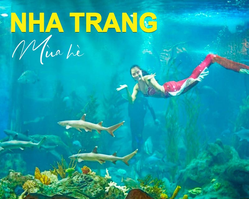 NHA TRANG - TOUR 3 ĐẢO - 2N2Đ - NÉT ĐẸP CỦA THIÊN NHIÊN BIỂN ĐẢO
