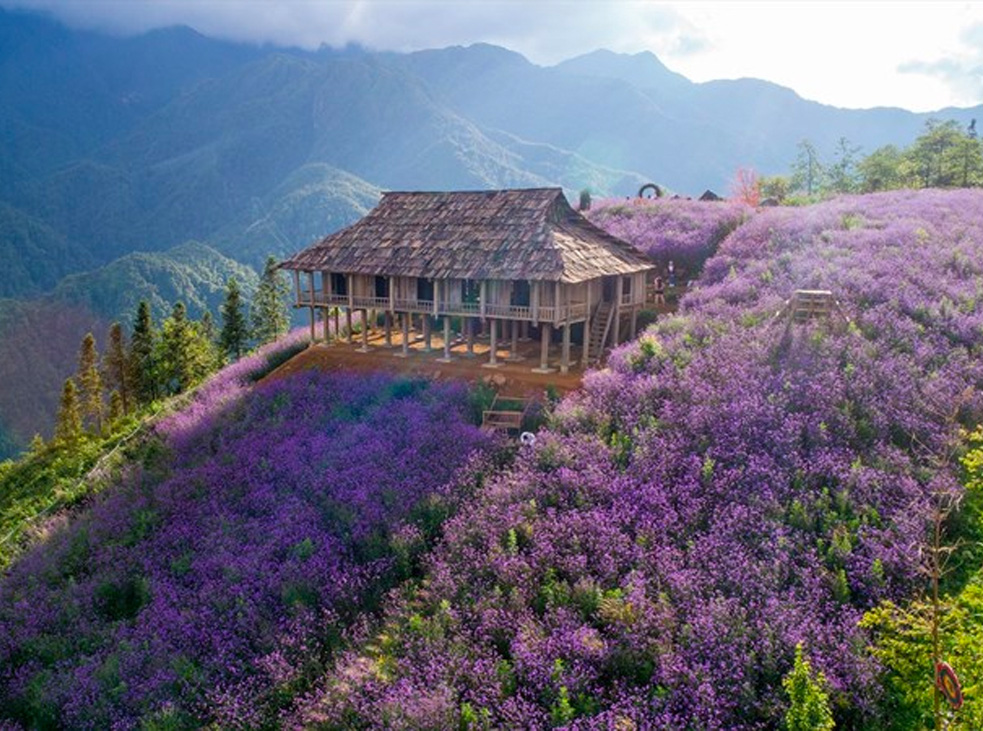 thung lung muong hoa